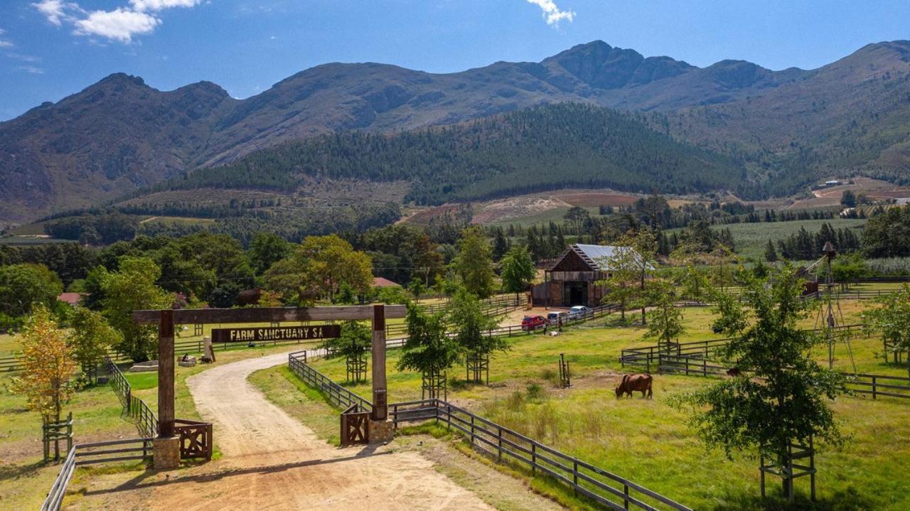 Inspiring Farm Sanctuary And Famous Painting Pig Hotel Franschhoek Exterior foto