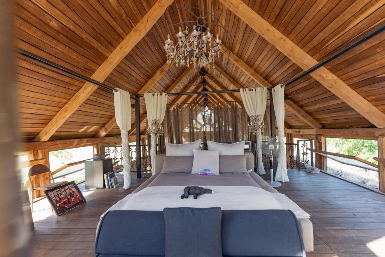 Inspiring Farm Sanctuary And Famous Painting Pig Hotel Franschhoek Exterior foto